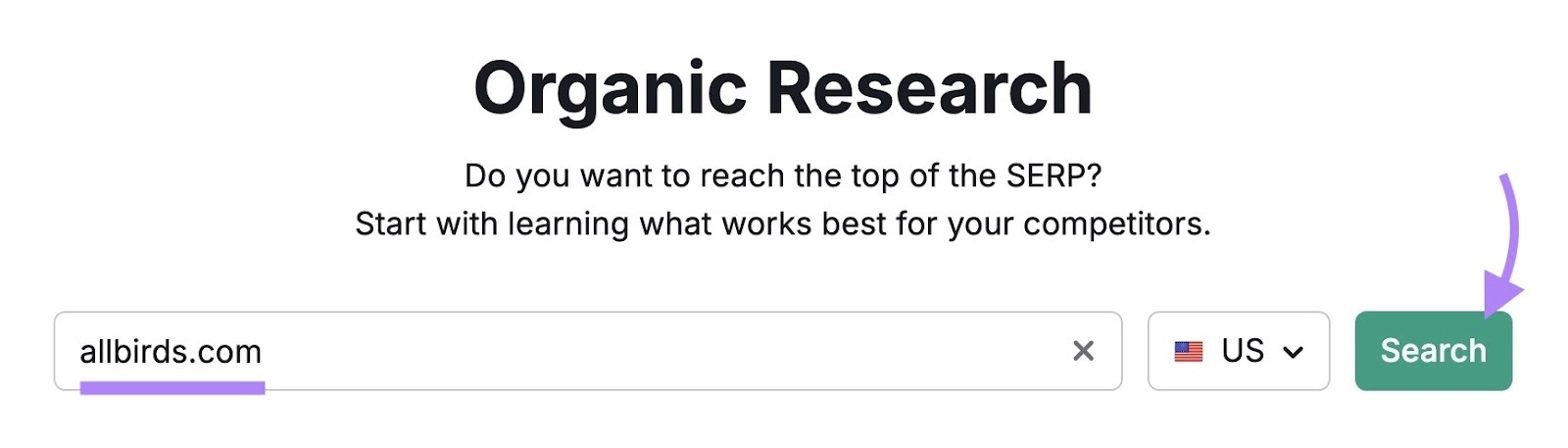 Organic Rankings tool start with "allbirds.com" entered as the domain and "Search" clicked.