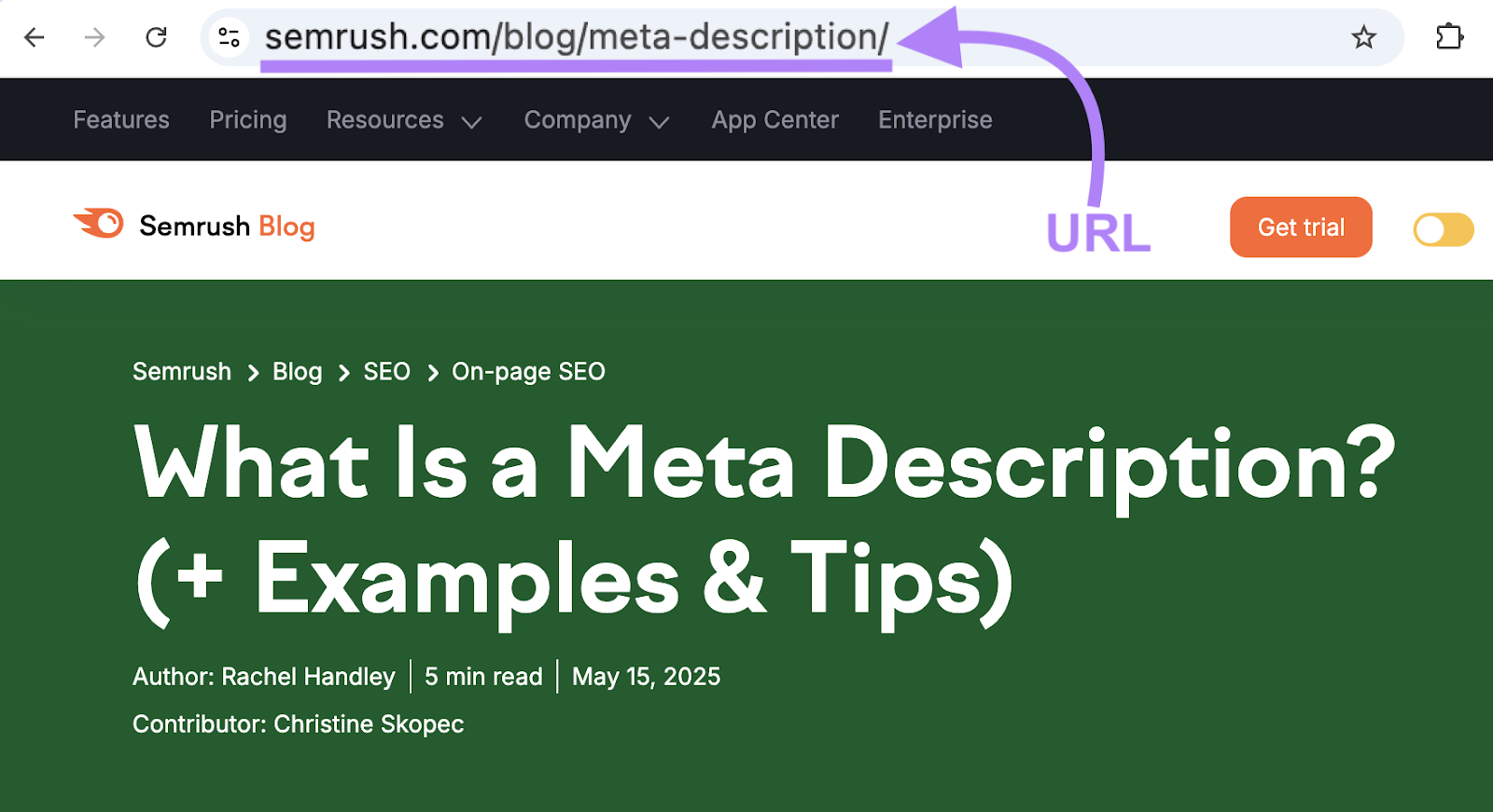 The URL in this example is sr03.toolsmoji.pk/blog/meta-description.