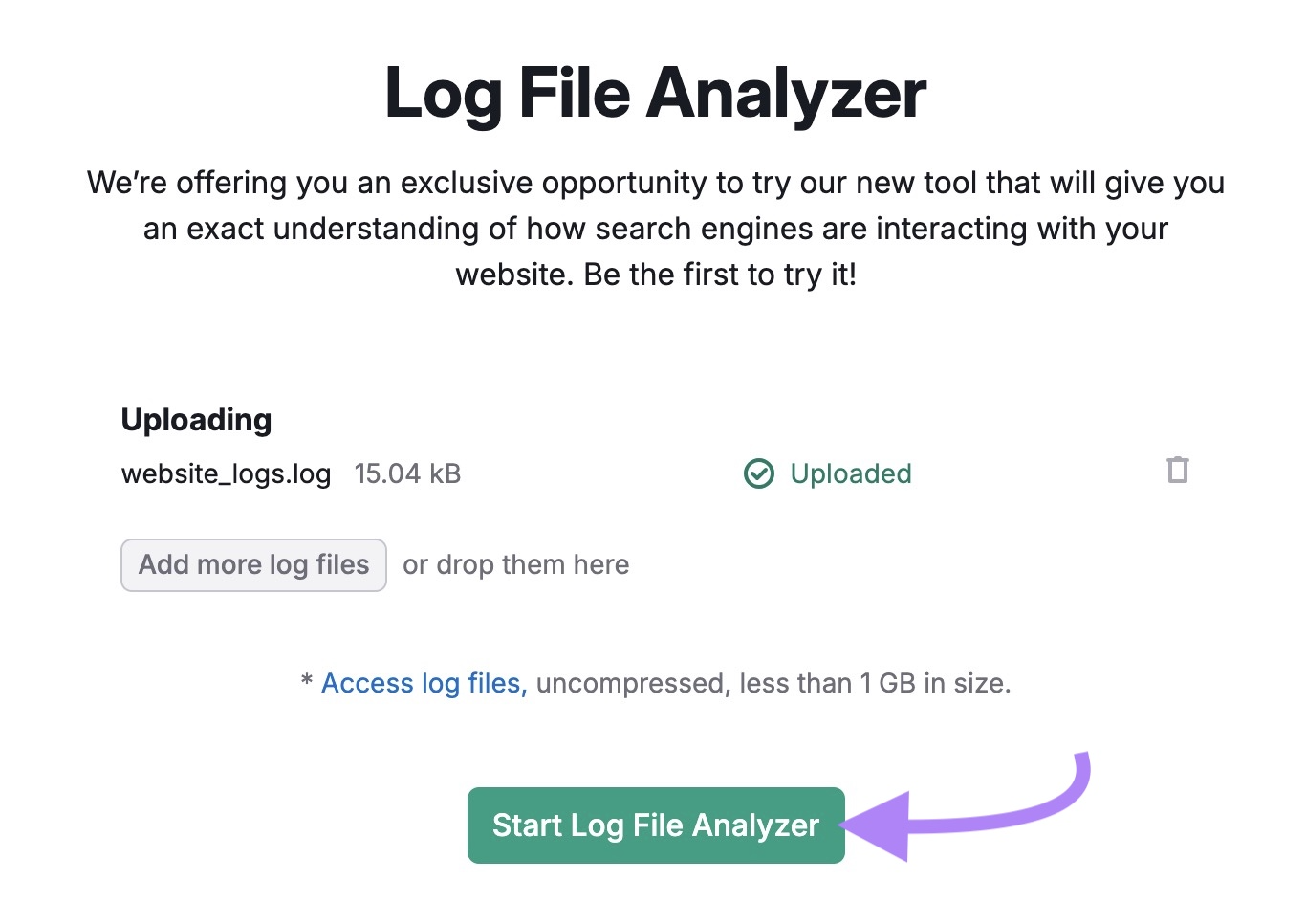 Log File Analyzer with a file uploaded and 