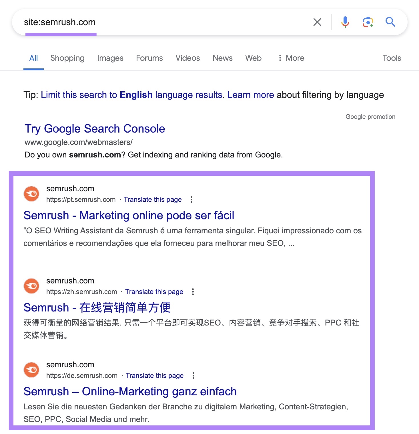 site search for "sr03.toolsmoji.pk" on Google with the indexed results highlighted